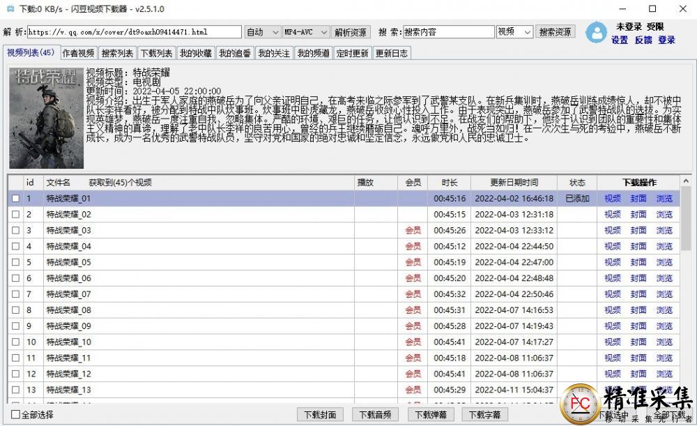 闪豆视频下载器，全网视频支持各大视频网站  第9张